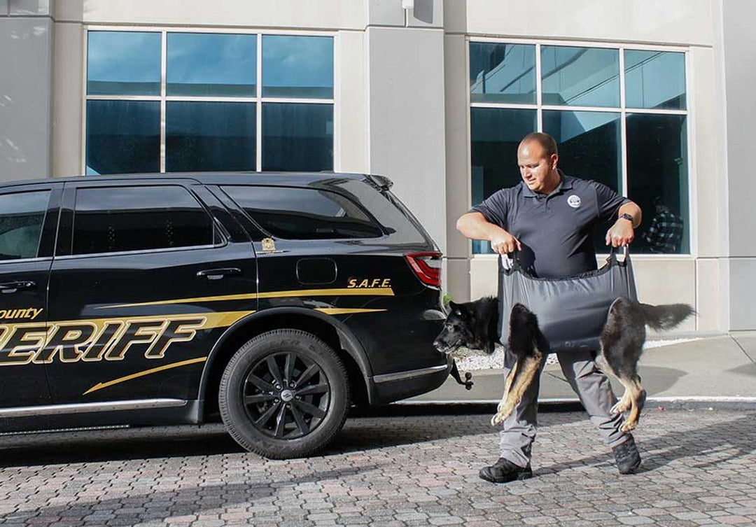 Officer walking with an injured dog supported by the K9 QuikLitter sling in front of a sheriff's vehicle.