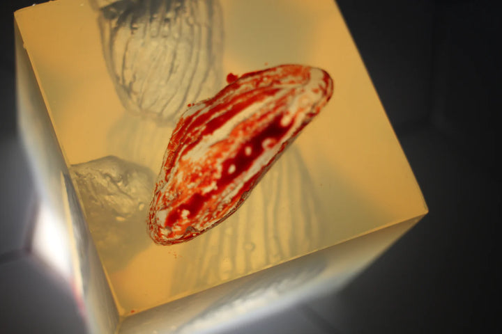 Close-up of simulated gunshot wound with visible tissue layers