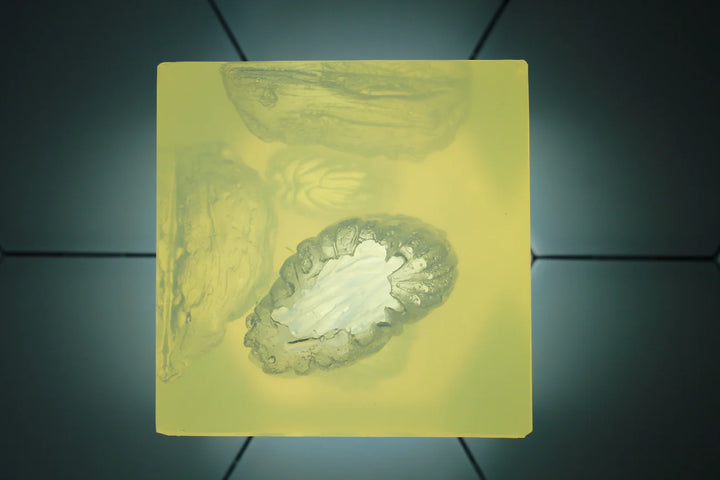 Close-up of deep laceration wound in silicone cube