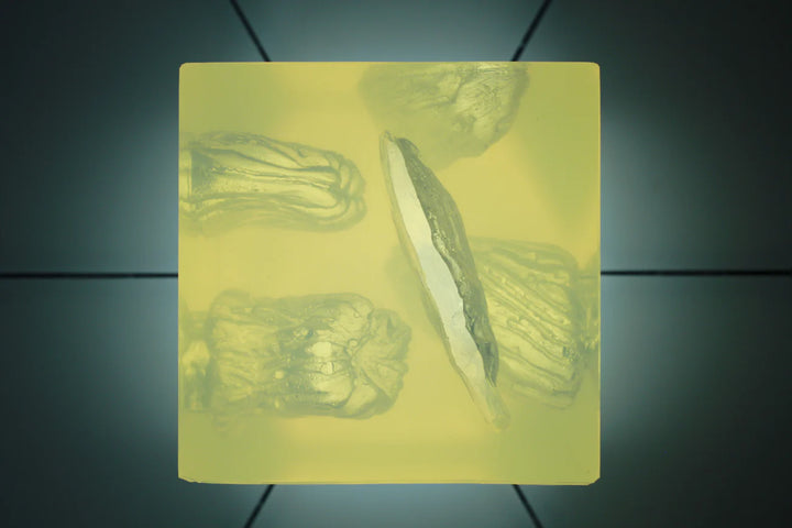 Top-down view of realistic wound with visible channels