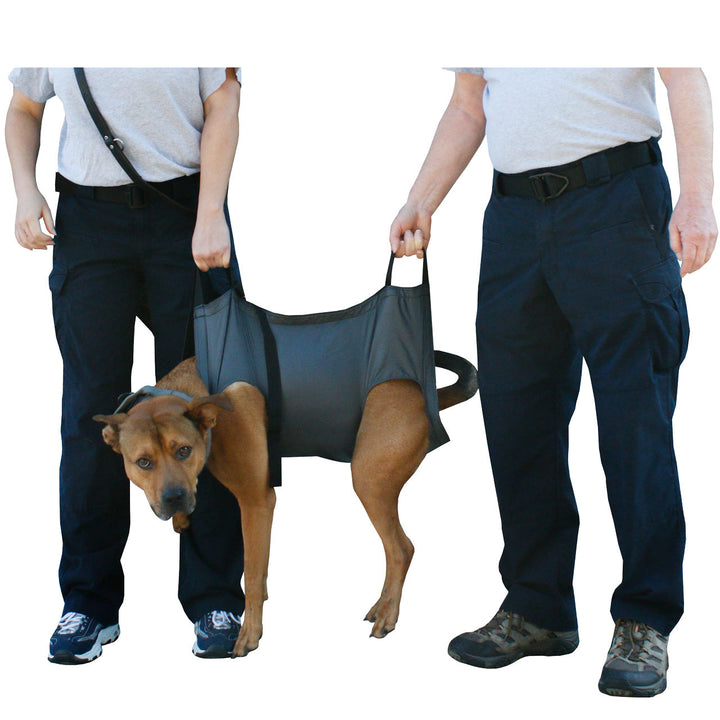 Two people carrying a brown dog using the K9 QuikLitter, demonstrating weight distribution.
