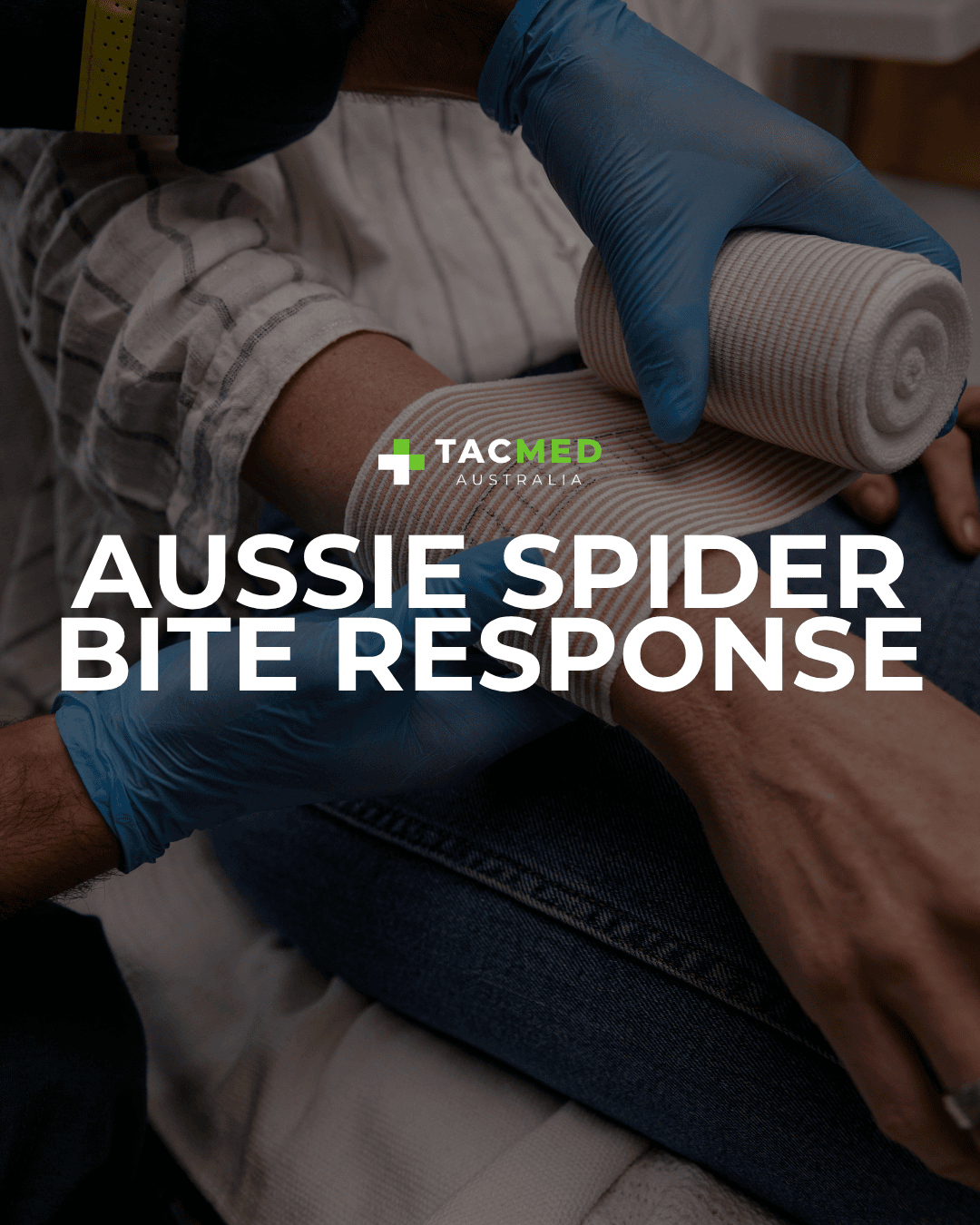 Aussie Spider Bites: A First Responder Guide
