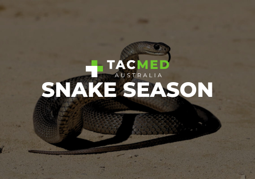 Snake Season Snake Bite Kit