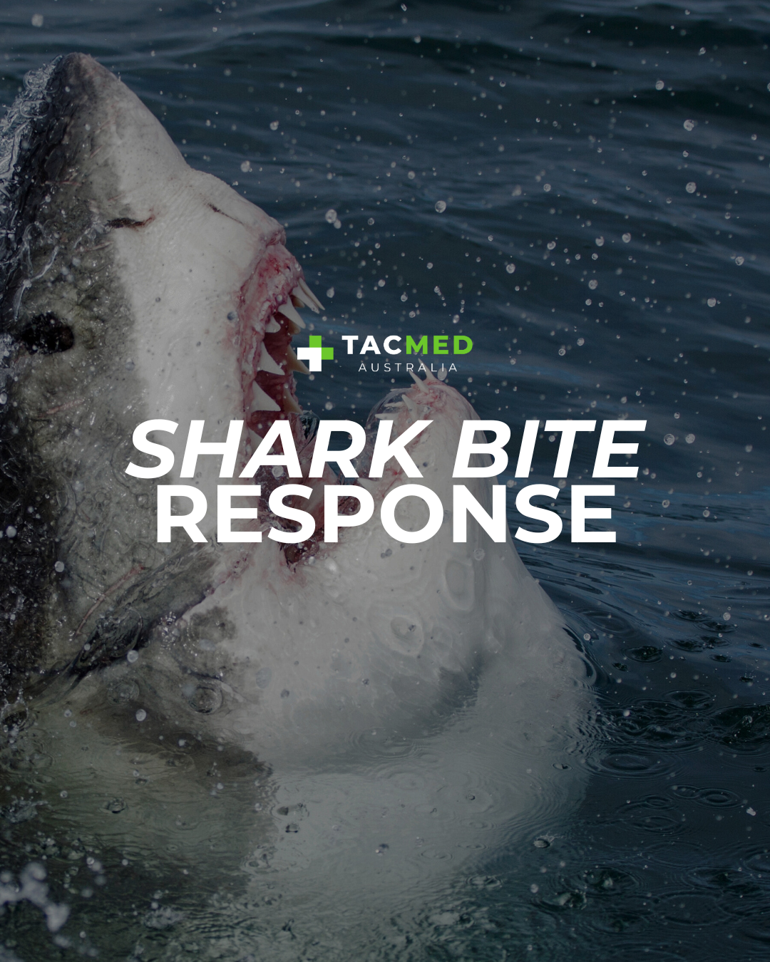 Shark Attack Response: Essential Skills and Equipment for First Responders