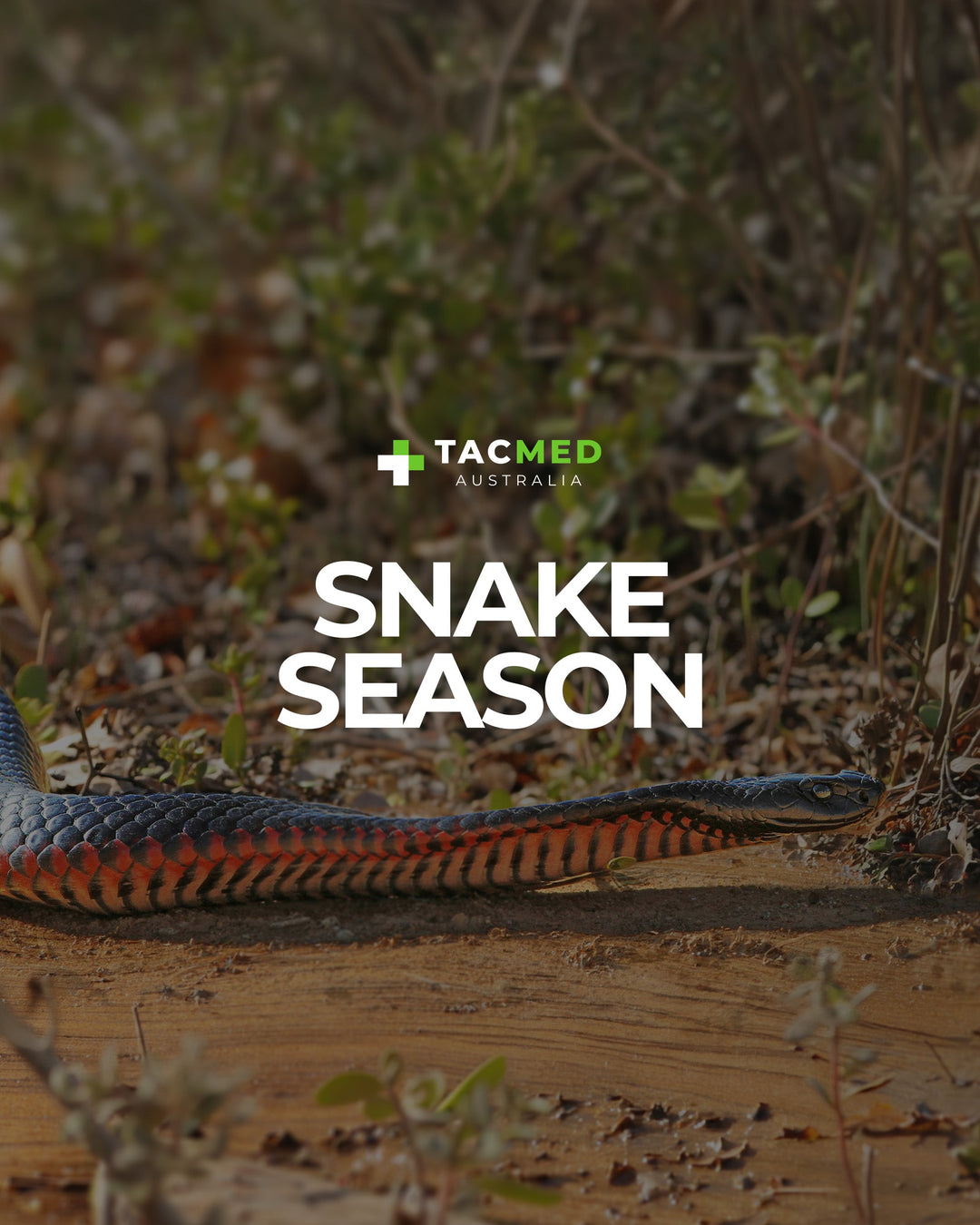 Snake Season: What Every First Responder Needs to Know