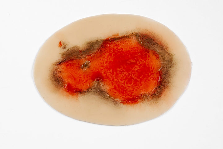 TraumaSim Abrasion Deep