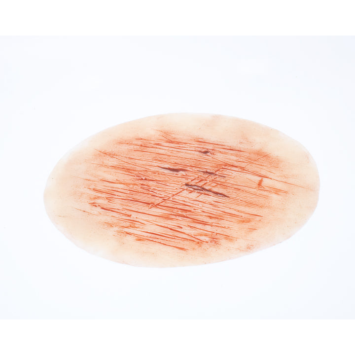 TraumaSim Abrasion Large Graze