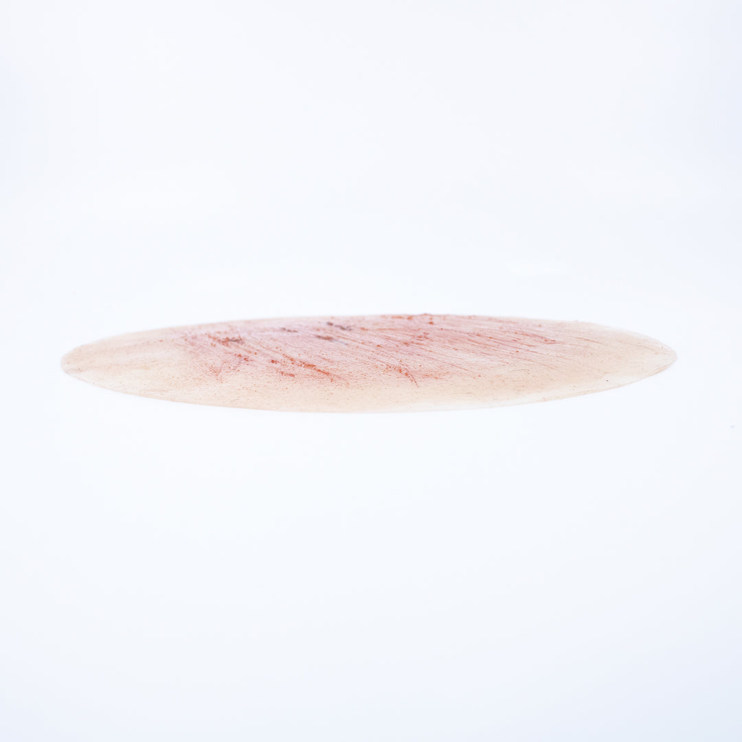 TraumaSim Abrasion Large Graze
