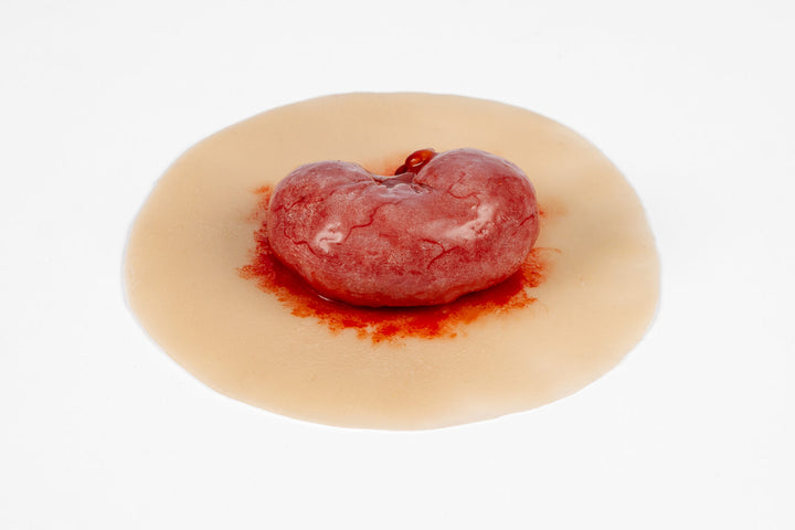 TraumaSim Evisceration Small