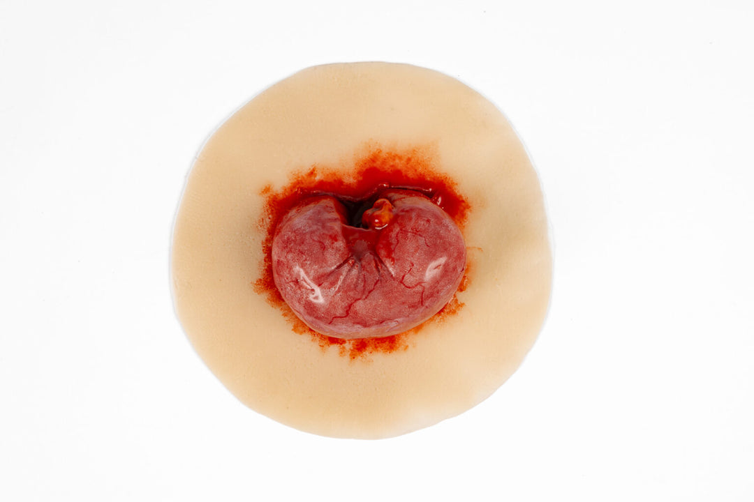 TraumaSim Evisceration Small