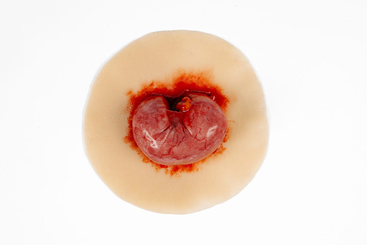 TraumaSim Evisceration Small