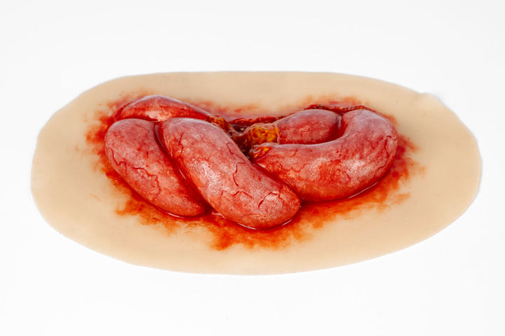 TraumaSim Evisceration Large