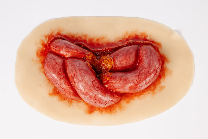 TraumaSim Evisceration Large