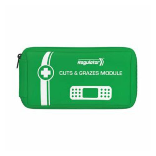 Modulator Replacement Modules