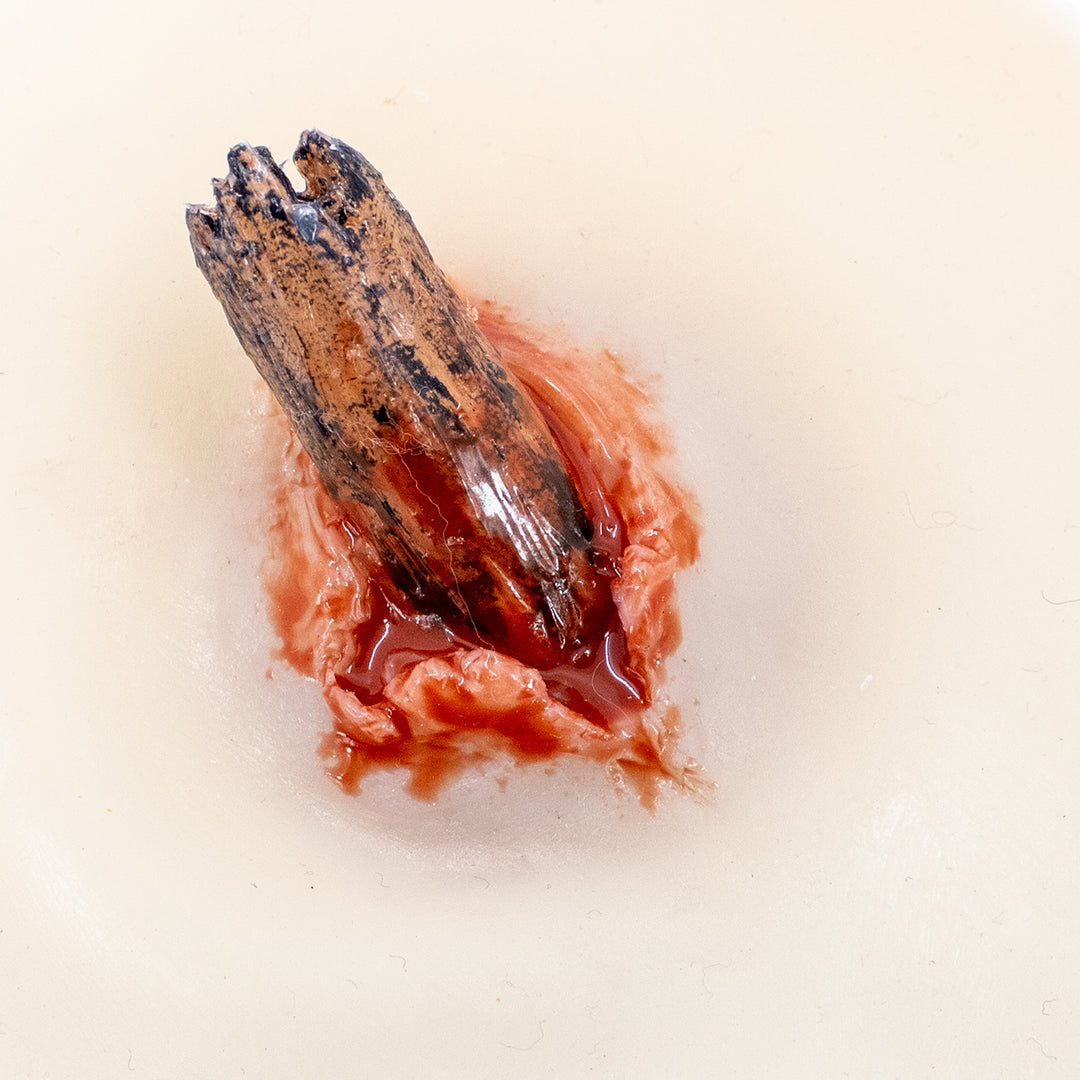 TraumaSim Impalement - Stick
