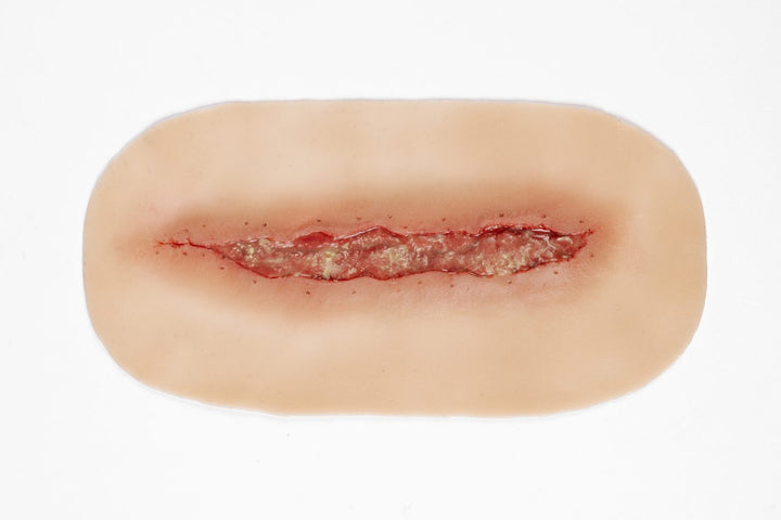 TraumaSim Dehiscence Medium
