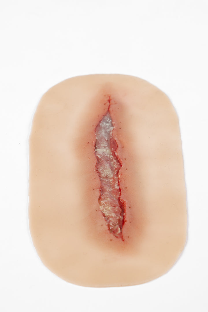 TraumaSim Dehiscence Medium