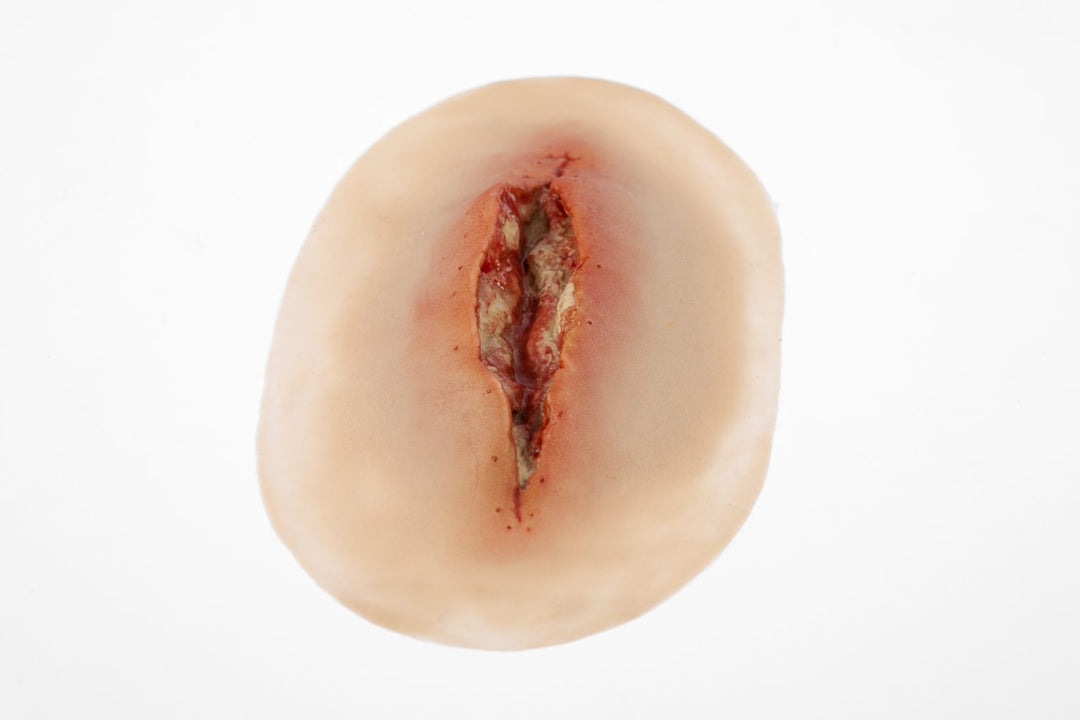 TraumaSim Dehiscence Large