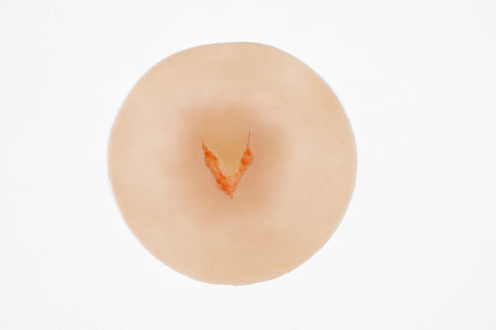 TraumaSim Clinical Skin Tear Range (6 wounds)