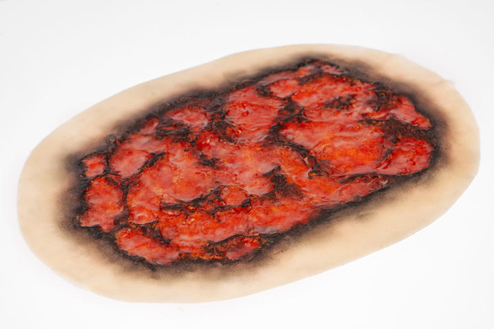 TraumaSim Burn Large