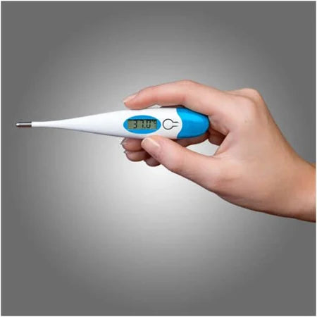 Hand holding digital thermometer to demonstrate size and usability

