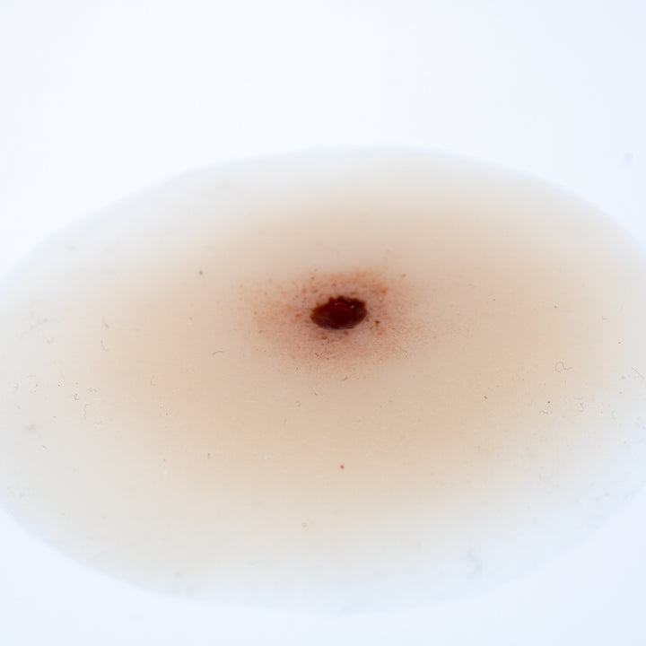 TraumaSim Gunshot Wound 5.56mm Entry