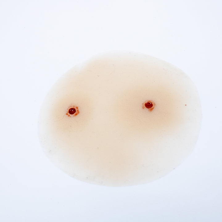 TraumaSim Gunshot Wound 5.56mm Entry Multi