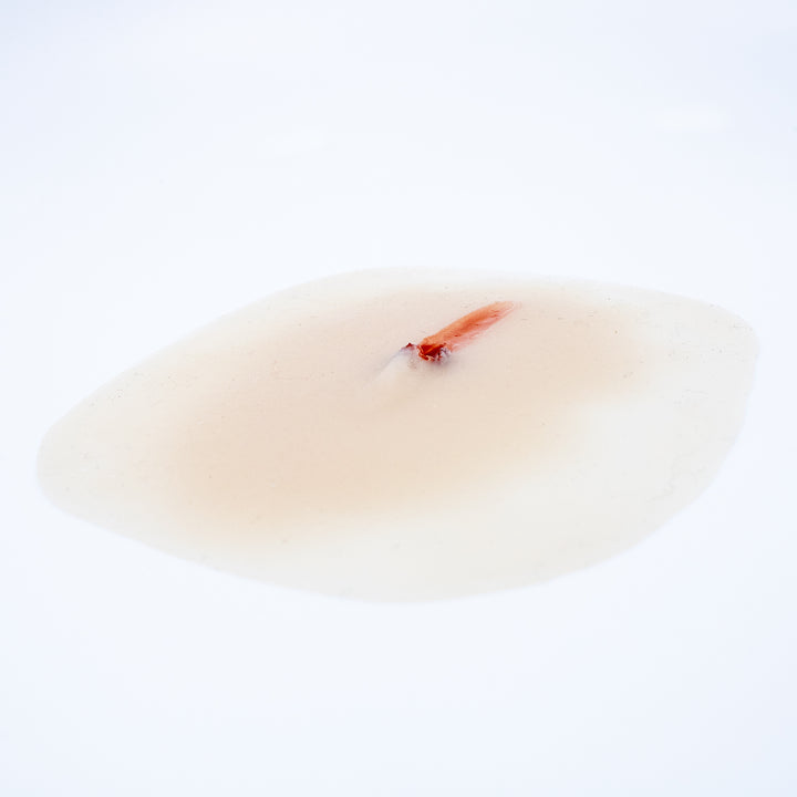 TraumaSim Gunshot Tracking Entry Wound