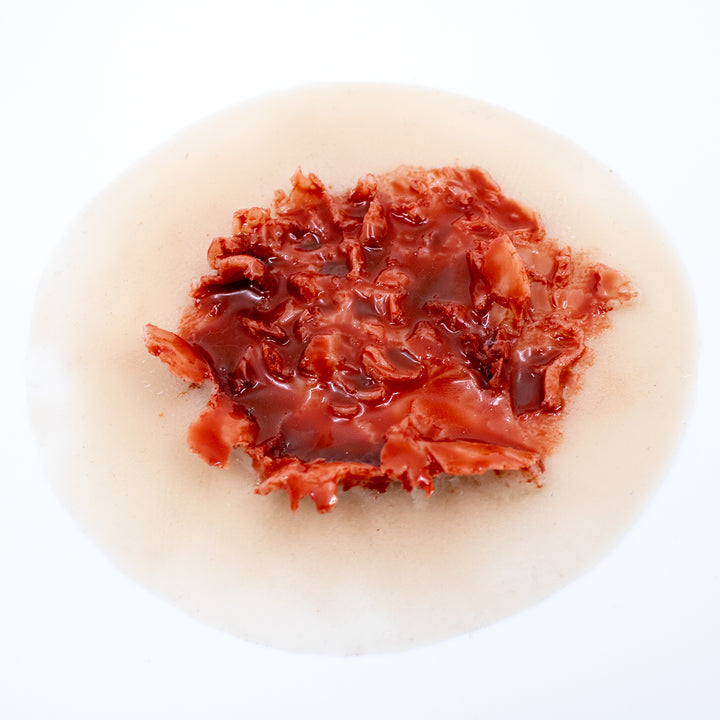 TraumaSim Gunshot Exit Wound Large