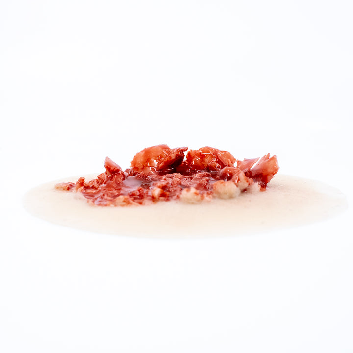 TraumaSim Gunshot Exit Wound Large