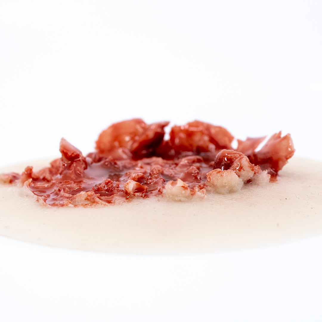 TraumaSim Gunshot Exit Wound Large