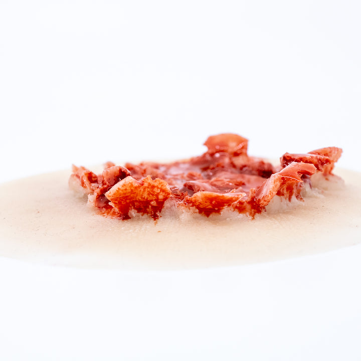 TraumaSim Gunshot Exit Wound Large