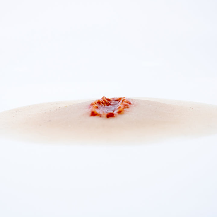 TraumaSim Open Laceration Small