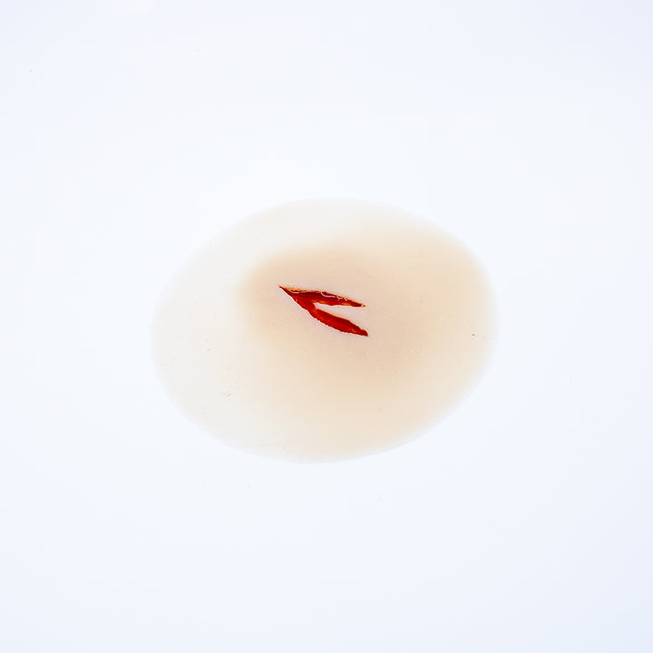 TraumaSim Laceration Forked Shallow