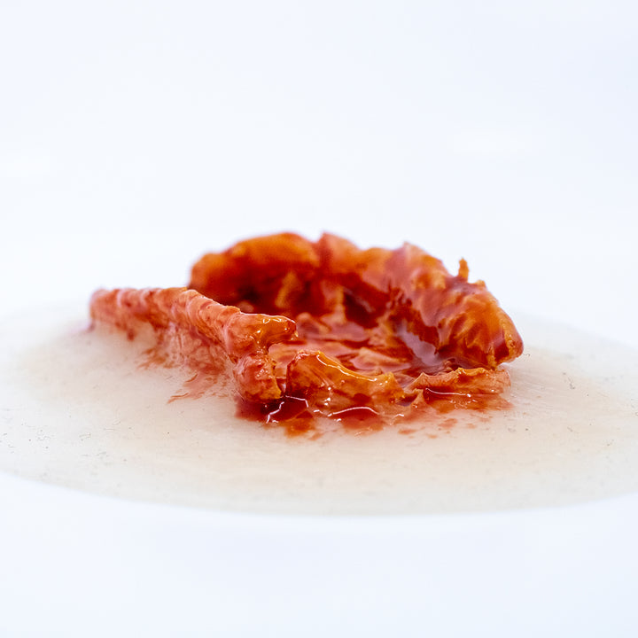 TraumaSim Laceration Open Fat Layer Large