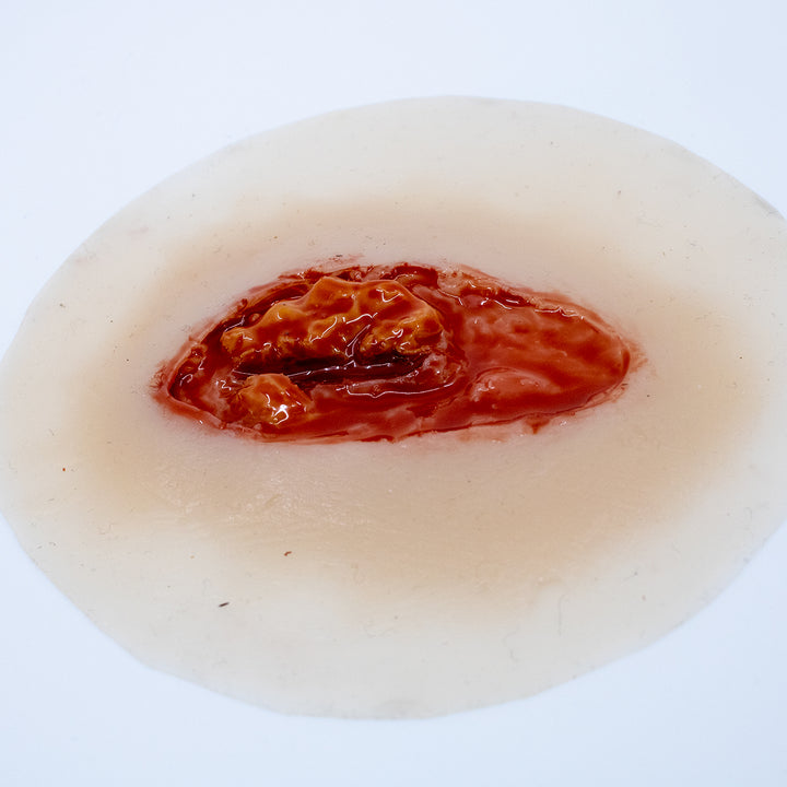 TraumaSim Laceration Open Fat Layer Small