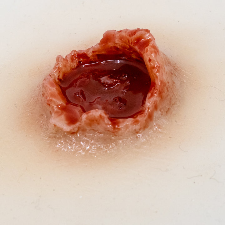 TraumaSim Laceration Circular