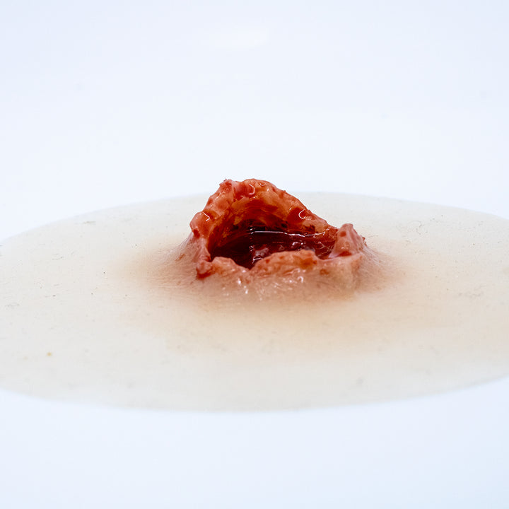 TraumaSim Laceration Circular