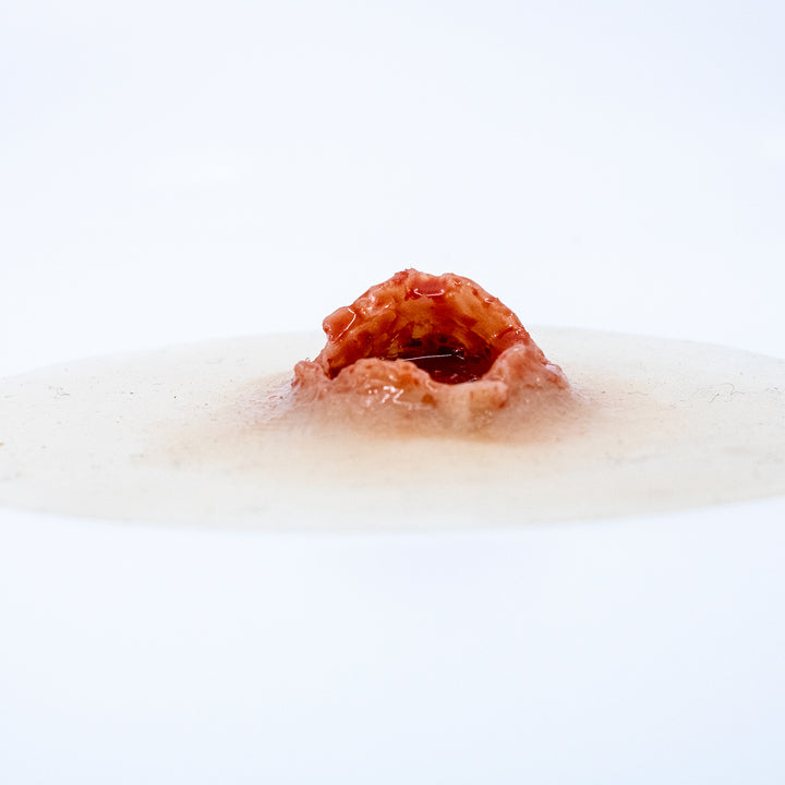 TraumaSim Laceration Circular