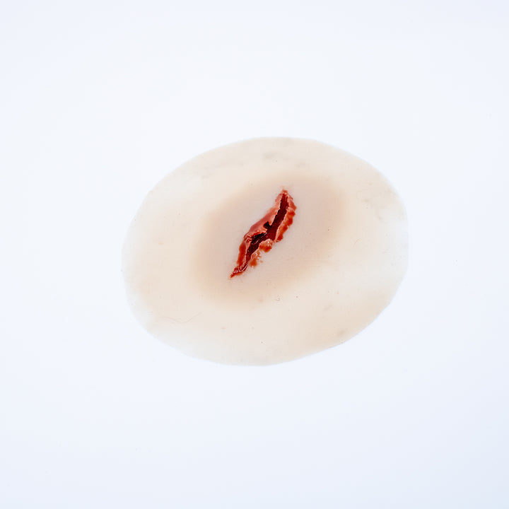 TraumaSim Laceration Jagged 1