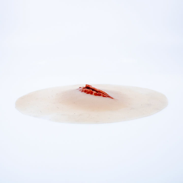 TraumaSim Laceration Jagged 1