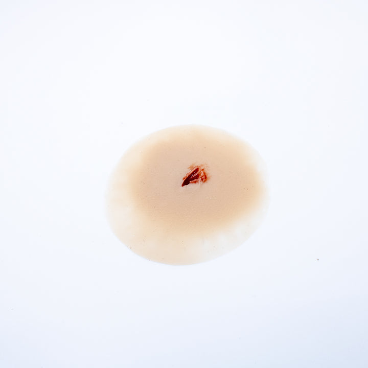 TraumaSim Fragmentation Single 2