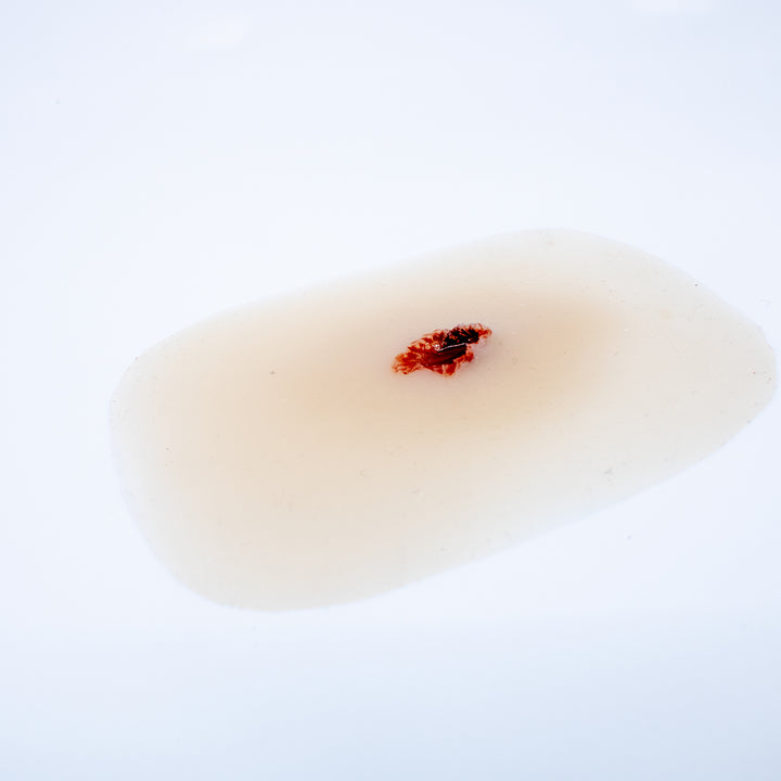 TraumaSim Fragmentation Single 1
