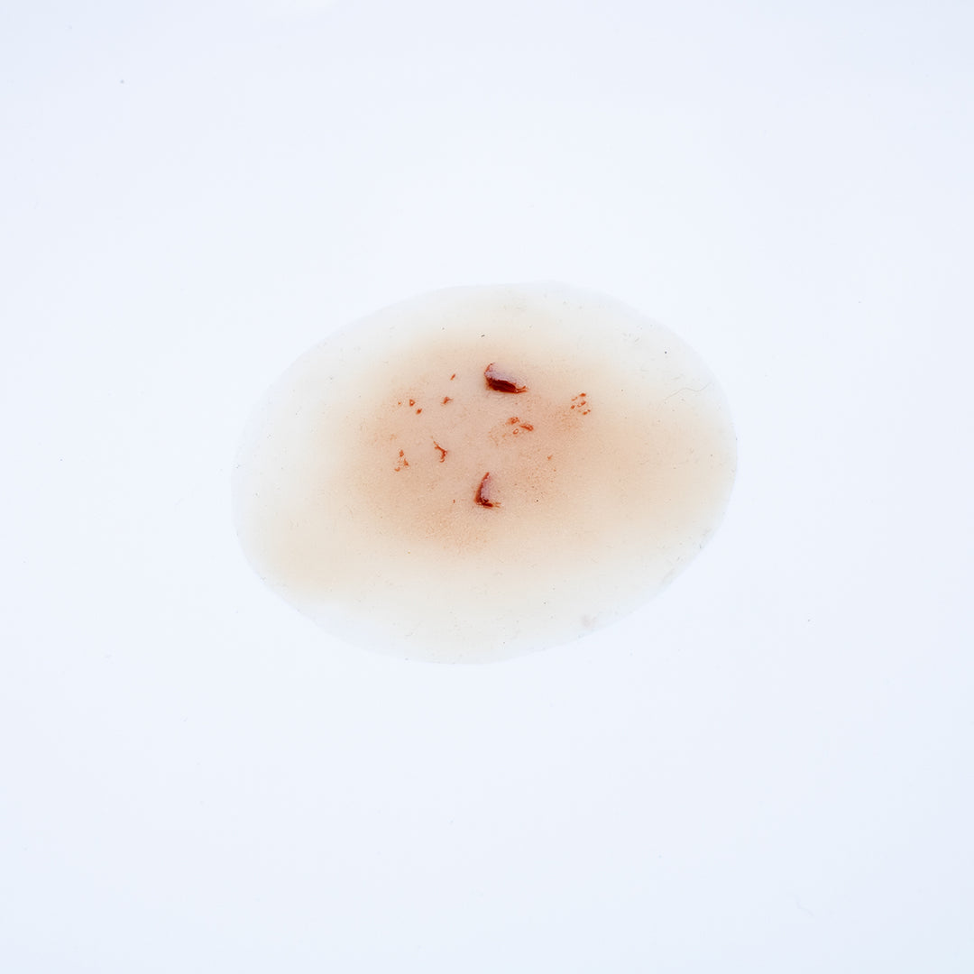 TraumaSim Fragmentation Spray 2