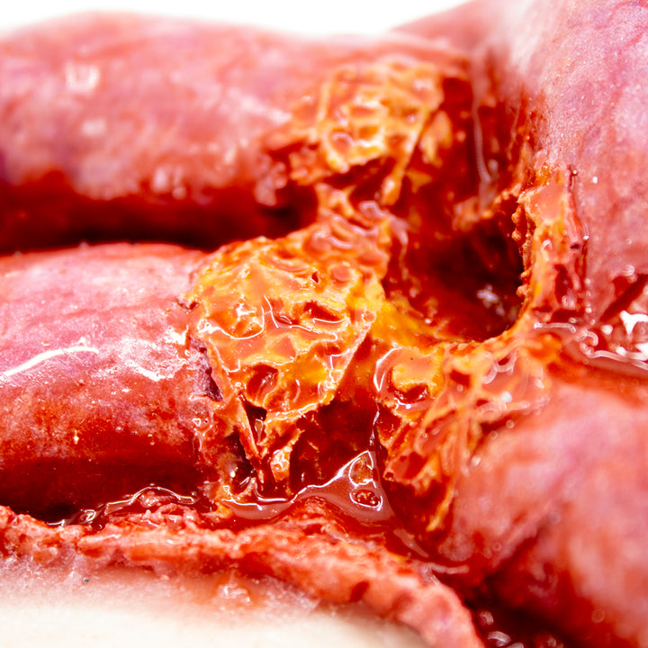 TraumaSim Evisceration Large