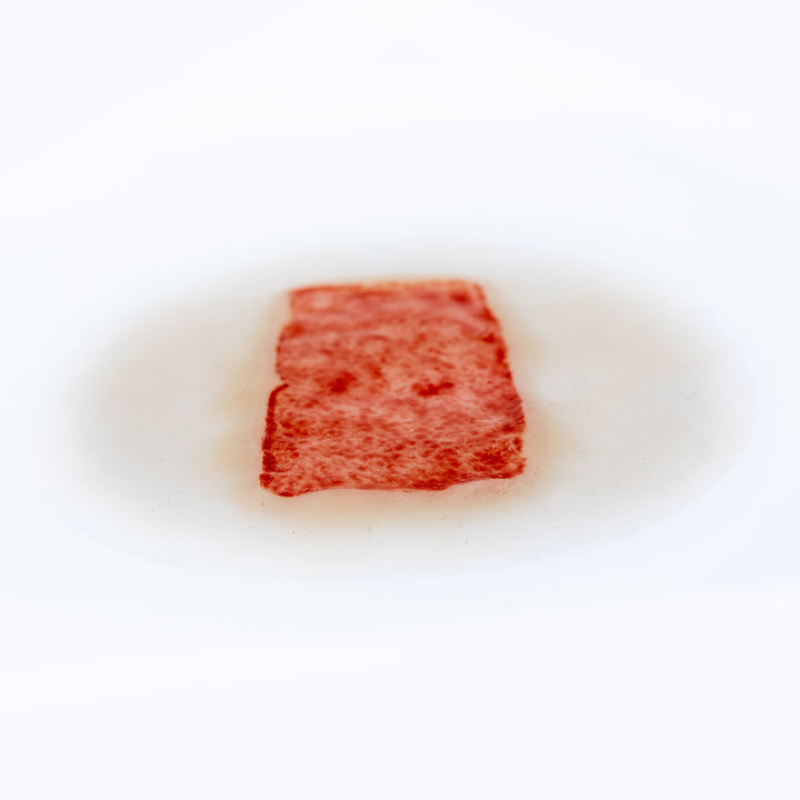 TraumaSim Skin Graft Donor Site