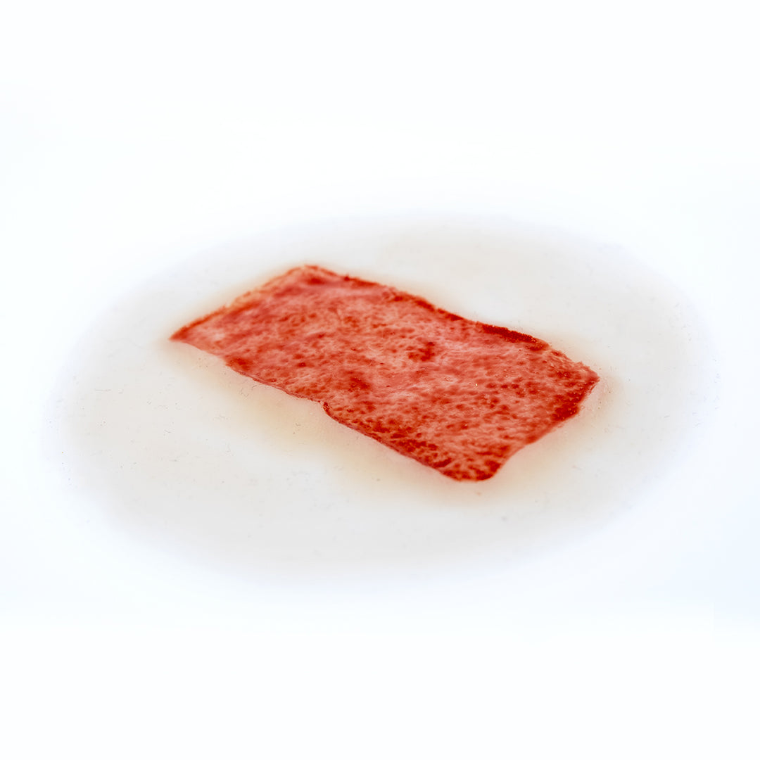 TraumaSim Skin Graft Donor Site
