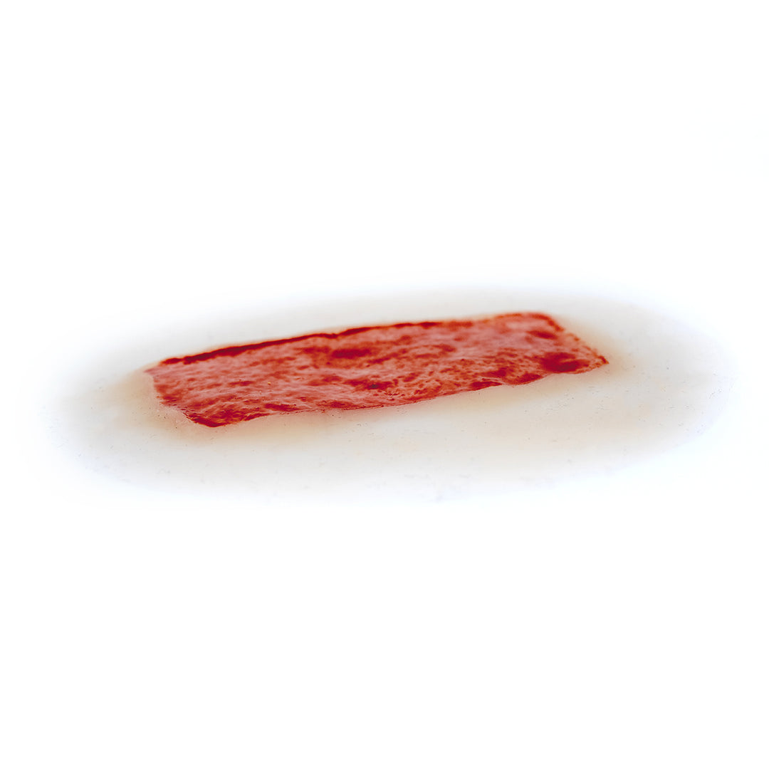 TraumaSim Skin Graft Donor Site