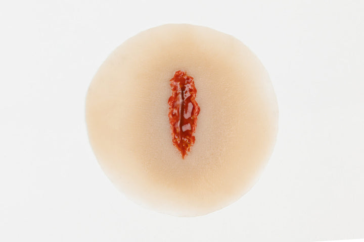 TraumaSim Open Laceration Small