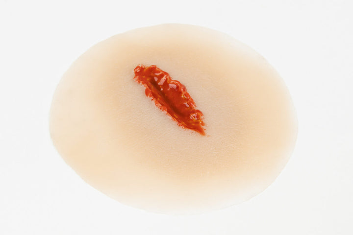 TraumaSim Open Laceration Small